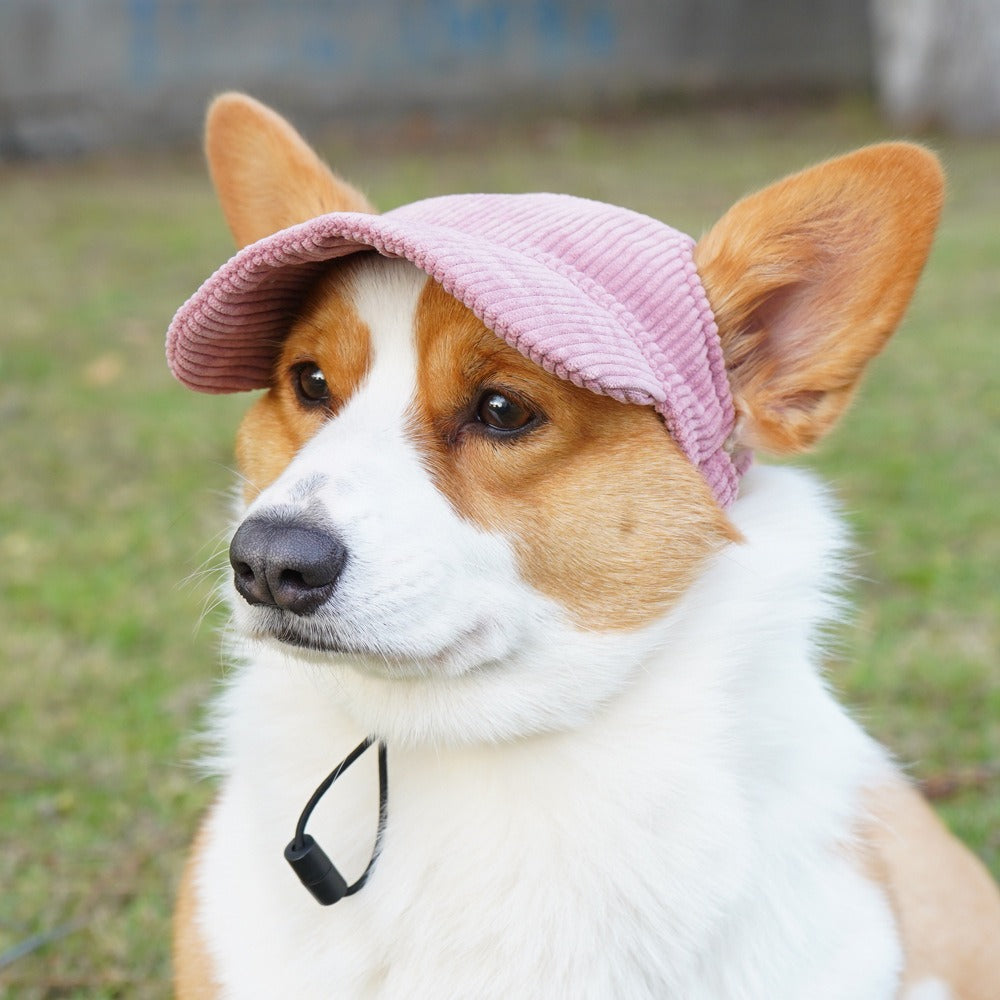 Pet Casual Dress Up Hat