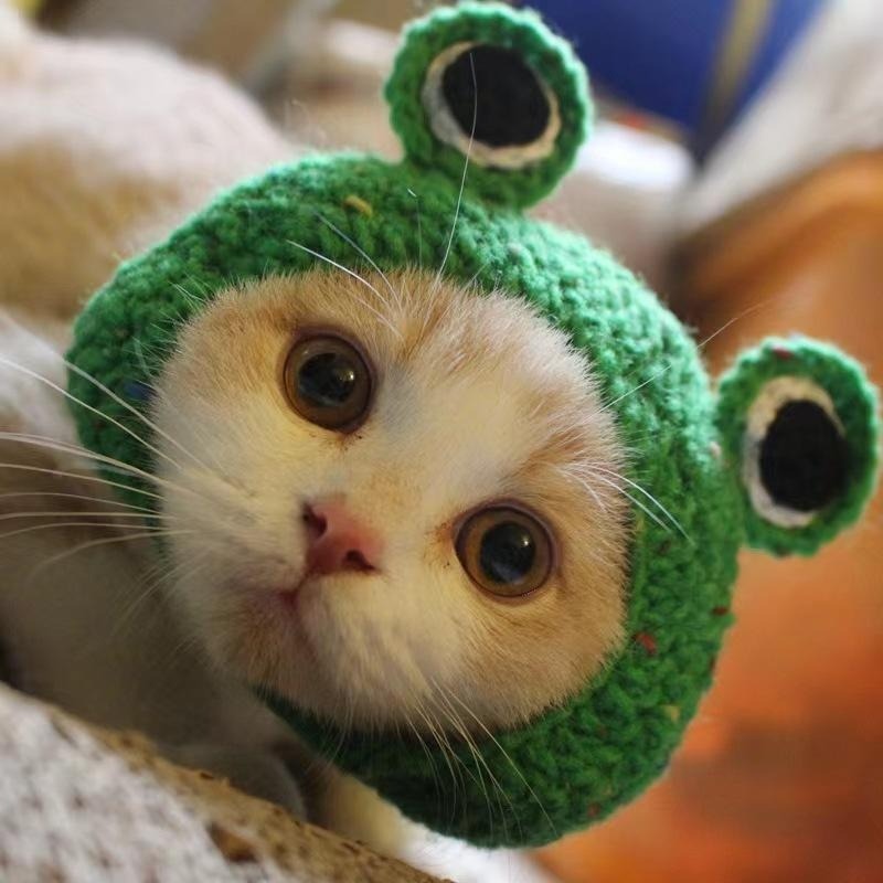 Pet Knitted Hat for Cats & Dogs