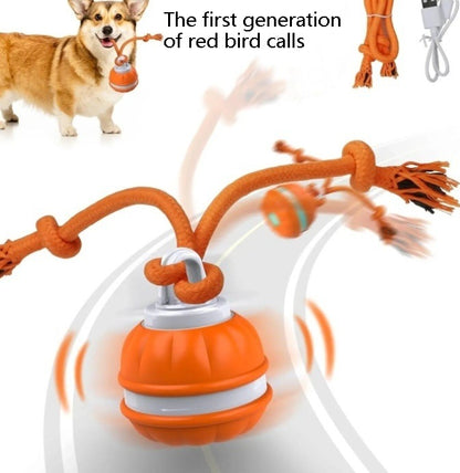 Motion Activated Rolling Ball Dog Toy USB Rechargeable
