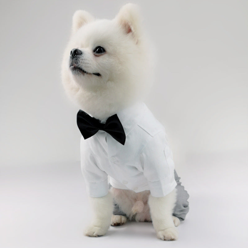 New Style Pet Shirt and Trousers Outfit for Dogs