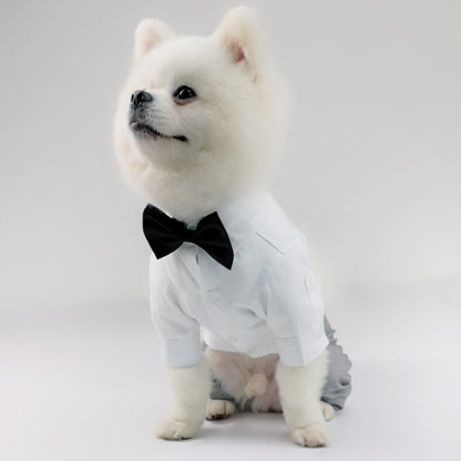 New Style Pet Shirt and Trousers Outfit for Dogs