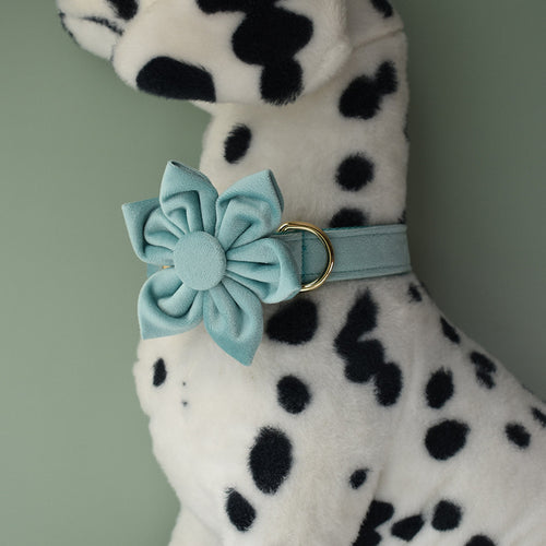 Lake Green Flannel Golden Dog Collar for Pets