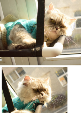 Cat Bed Hammock with Strong Suction Cups for Pets