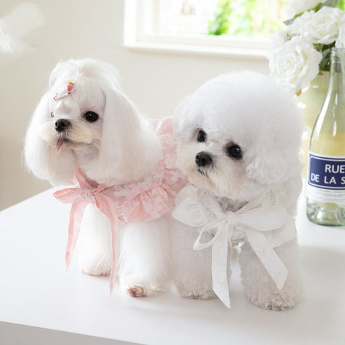 Bow Tie Collar Dress for Cats