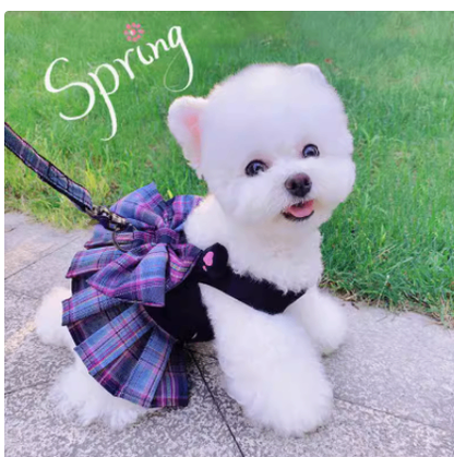 K Skirt Pet Dog Clothes with Rope for Small Dogs