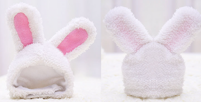 Warm Rabbit Ears Hat for Pets