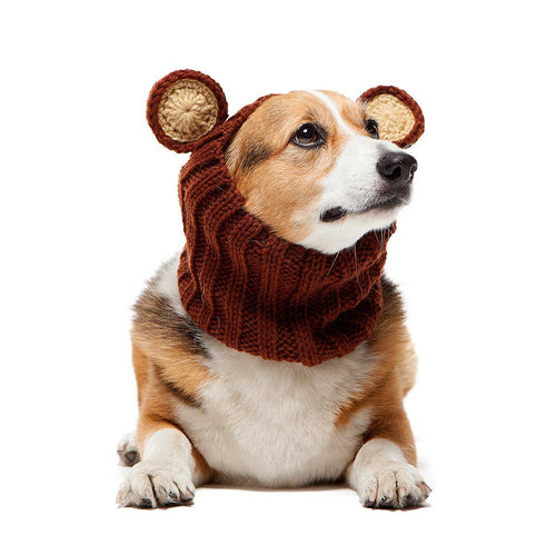 Zoo Snoods Grizzly Bear Costume - Warm Knit Dog Snood Wrap for Pets Neck Ear Cover Protection Halloween Winter (Medium)