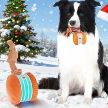 Motion Activated Rolling Ball Dog Toy USB Rechargeable