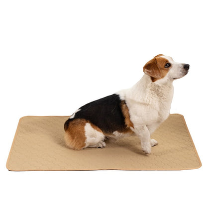 Water Absorbent Dog Pad for Pets