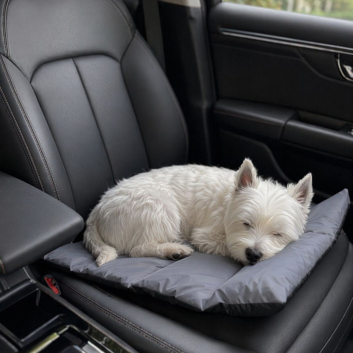 Cat and Dog All-Season Sleeping Mat