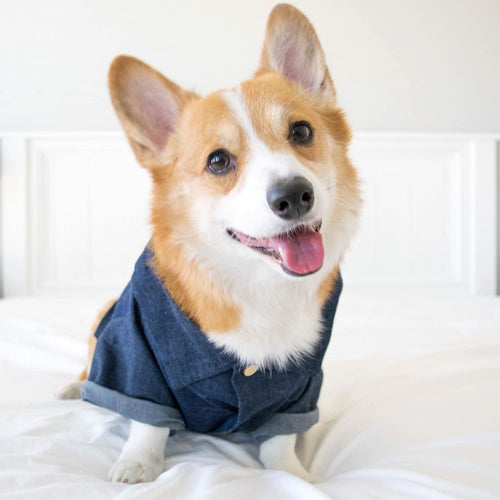 Summer Pet Printed Cotton Outfits for Small Dogs