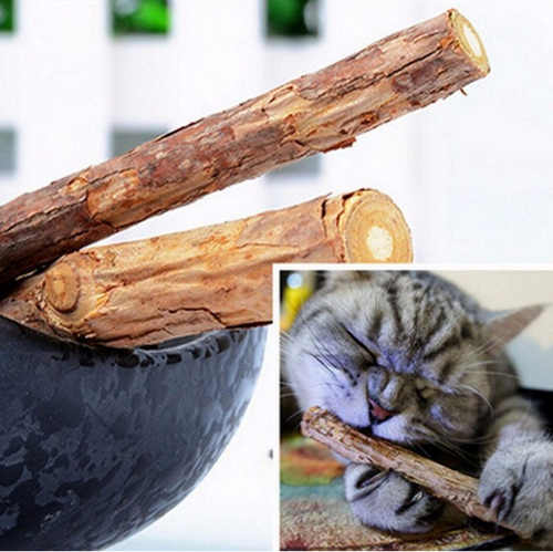 Natural Cat Teeth Cleaning Fruit Chew Toy Stick