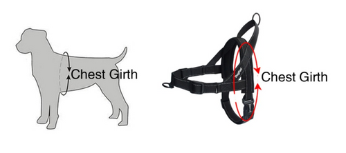 Pet Dog Harness with Leash for Walking