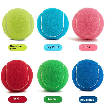 Pet Bite-Resistant Tennis Toy