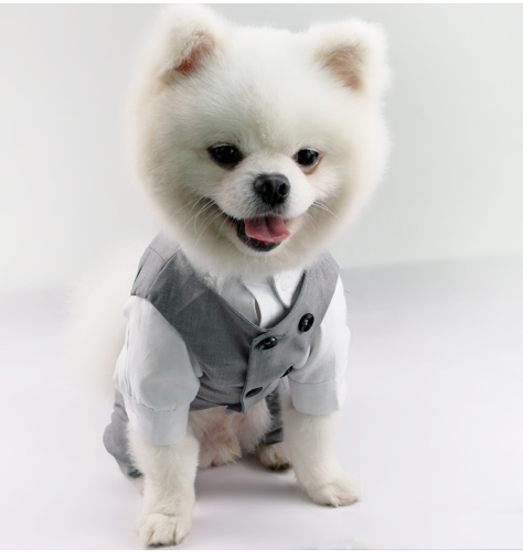 New Style Pet Shirt and Trousers Outfit for Dogs