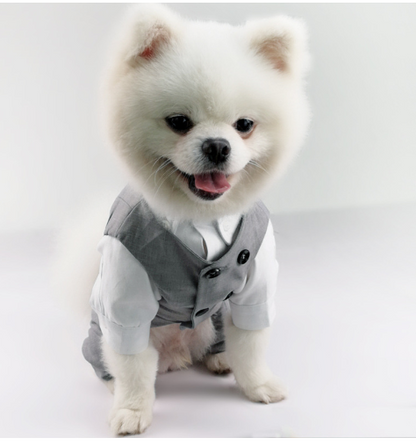 New Style Pet Shirt and Trousers Outfit for Dogs