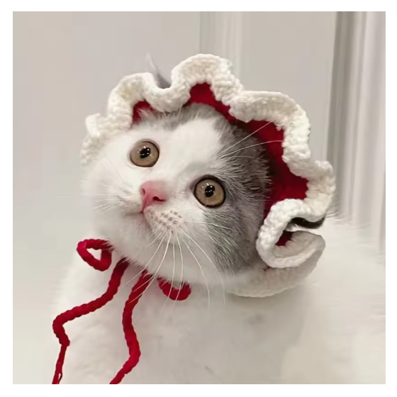 Pet Knitted Hat for Cats & Dogs