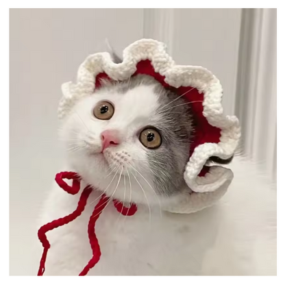 Pet Knitted Hat for Cats & Dogs