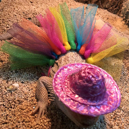 Lizard Outfit for Holiday and Halloween Small Pets