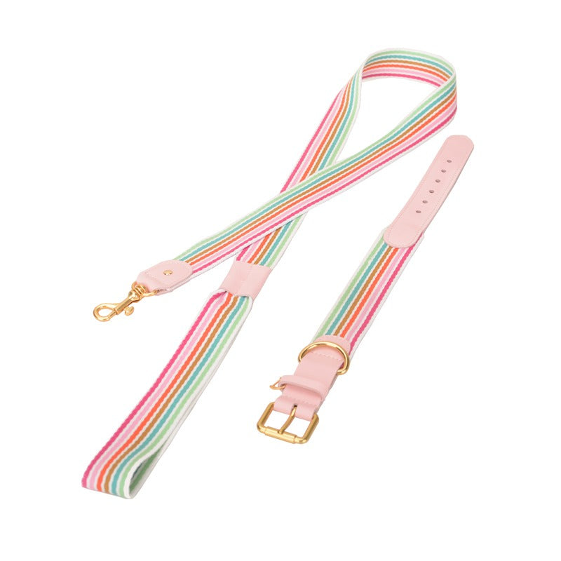 Woven Dog Collar Traction Rope