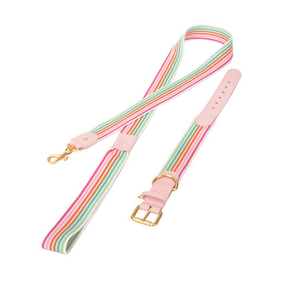 Woven Dog Collar Traction Rope