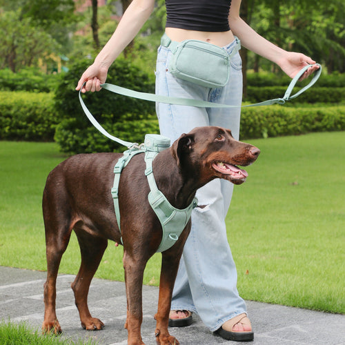 Mint Green Pet Dog Vest Harness & Collar Set