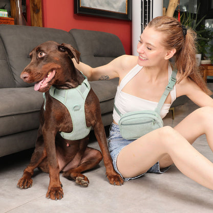 Mint Green Pet Dog Vest Harness & Collar Set