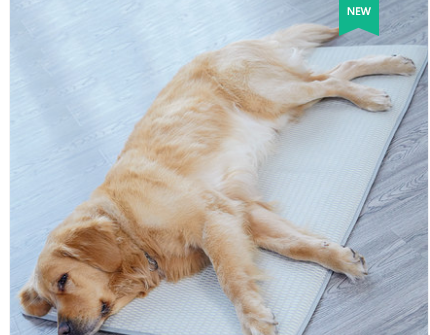 Removable Washable Waterproof Dog Sleeping Mat