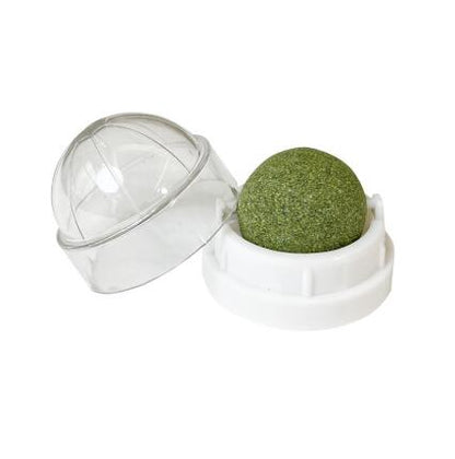 Catnip Spin Ball for Cats - Teeth Cleaning Toy (One Piece)