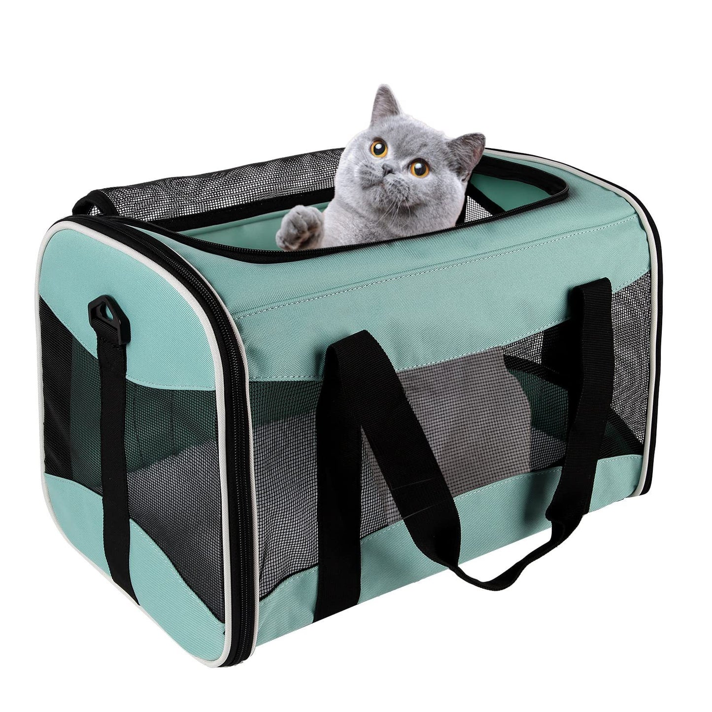 Foldable Breathable Pet Carrier Bag