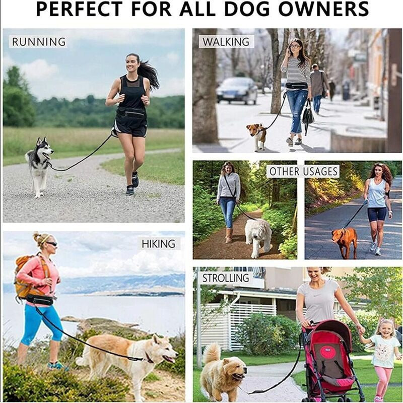 Pet Purse Leash for Dog Walking