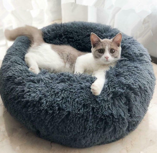 Good Pet Bed