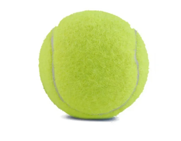 Pet Bite-Resistant Tennis Toy