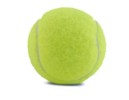 Pet Bite-Resistant Tennis Toy