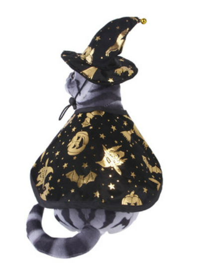 Halloween Wizard Cloak and Hat Set for Pets
