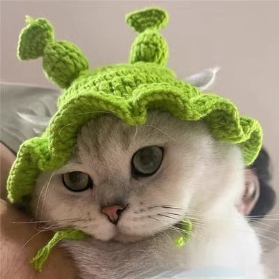 Pet Knitted Hat for Cats & Dogs