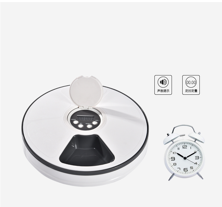 Automatic Pet Feeder for Cats and Small Dogs