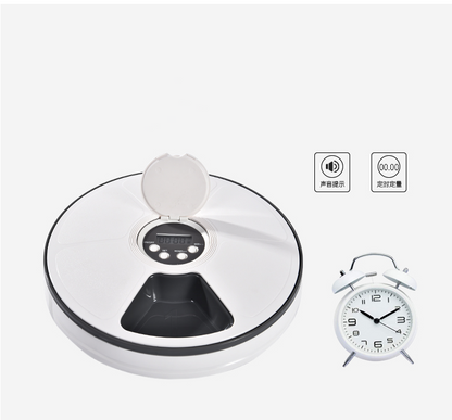 Automatic Pet Feeder for Cats and Small Dogs