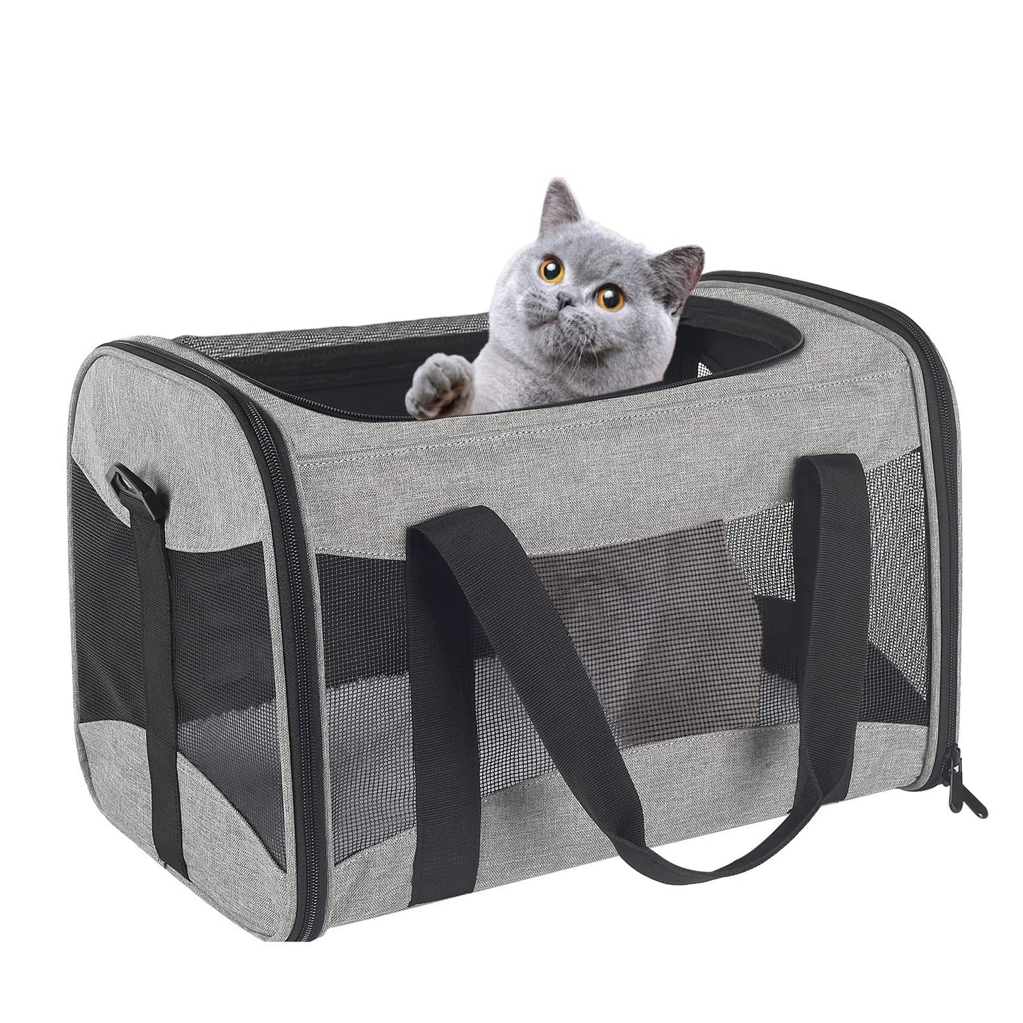 Foldable Breathable Pet Carrier Bag