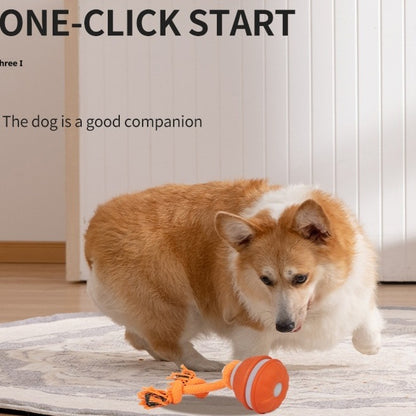 Motion Activated Rolling Ball Dog Toy USB Rechargeable