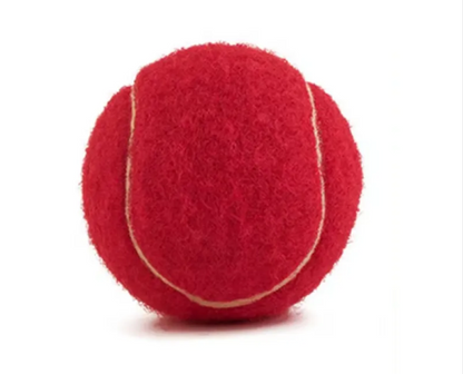 Pet Bite-Resistant Tennis Toy