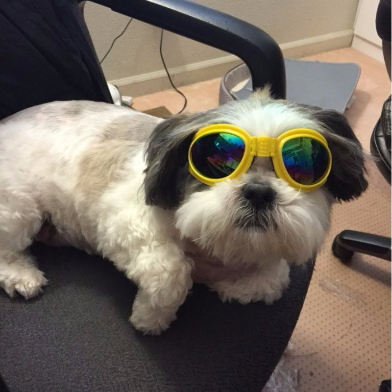 Foldable Dog Sunglasses - Pet Eye Protection Glasses