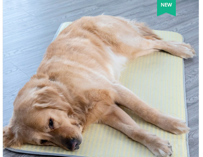 Removable Washable Waterproof Dog Sleeping Mat