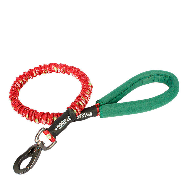 Bianmu Golden Retriever Medium Dog Walking Leash