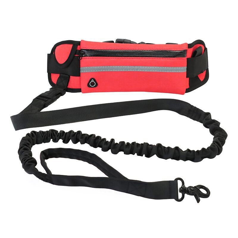 Pet Purse Leash for Dog Walking