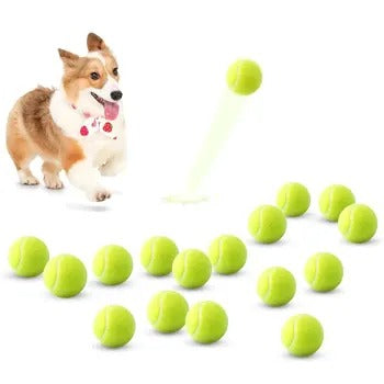 Pet Bite-Resistant Tennis Toy
