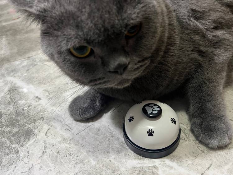 Pet Footprint Ringer Training Bells for Cats and Dogs