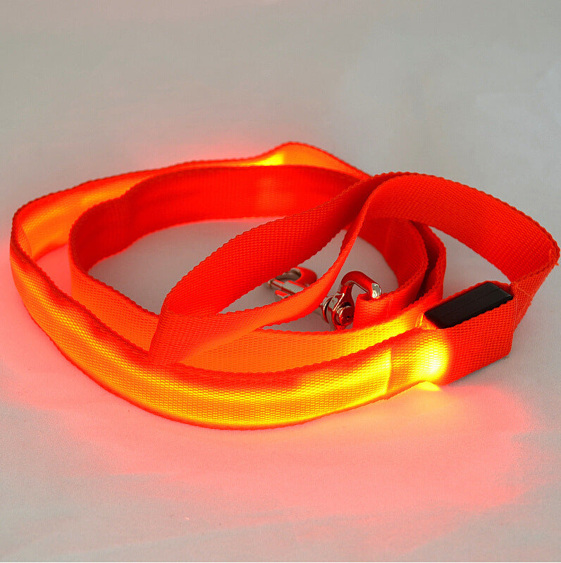 LED Glowing Dog Leash for Nighttime Walks