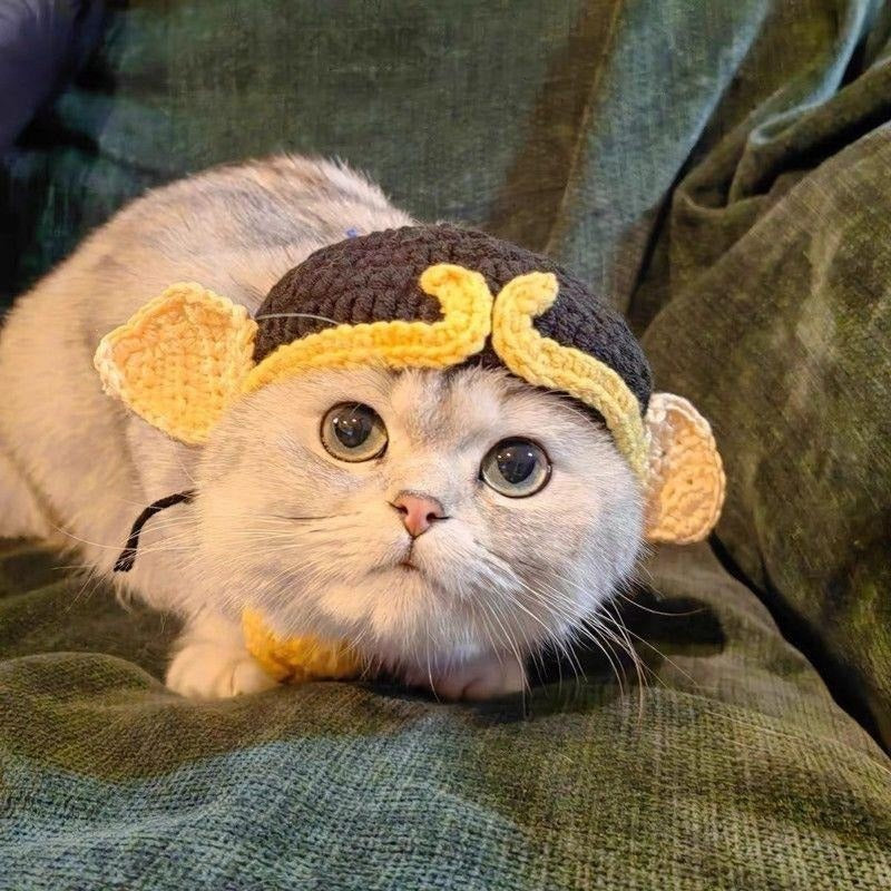 Pet Knitted Hat for Cats & Dogs