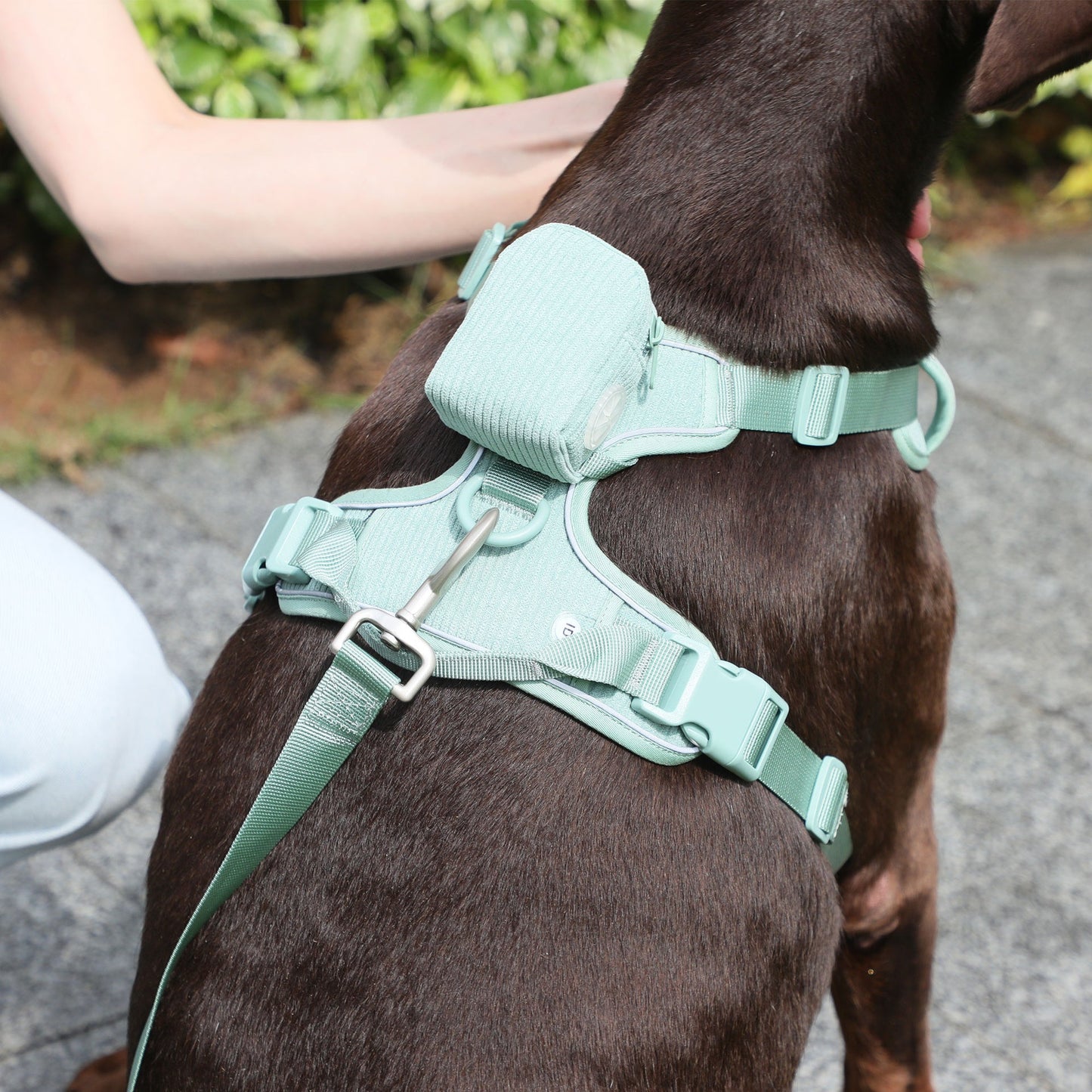 Mint Green Pet Dog Vest Harness & Collar Set